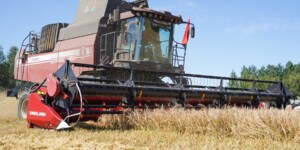 Хлеборобы Беларуси намолотили 6 млн тонн зерна