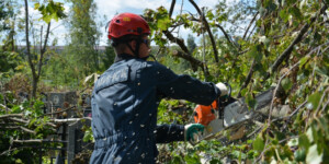 Спасатели завершили расчистку кладбищ после урагана в Могилеве