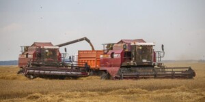 Белорусские аграрии намолотили 4 млн тонн зерна