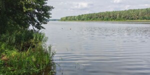 Сильные ливни, грозы и шквалистый ветер ожидаются местами по Могилевской области ночью 11 августа
