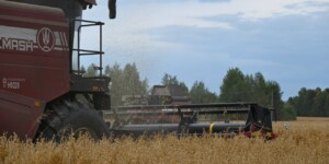 В Могилевской области убрано 59% зерновых и зернобобовых