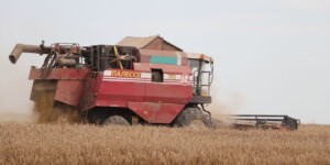 Белорусские аграрии превысили рубеж в 7 млн тонн зерна