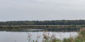 На озере в Кличевском районе утонул рыбак