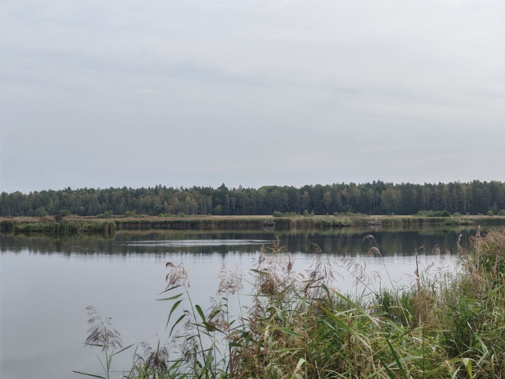 На озере в Кличевском районе утонул рыбак