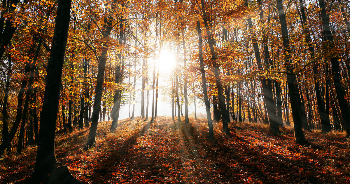 Осеннее равноденствие — 2025: дата, приметы, астропрогноз для всех знаков зодиака