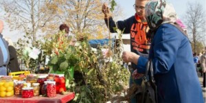 Сезон осенних сельскохозяйственных ярмарок стартует в Могилеве 27 сентября
