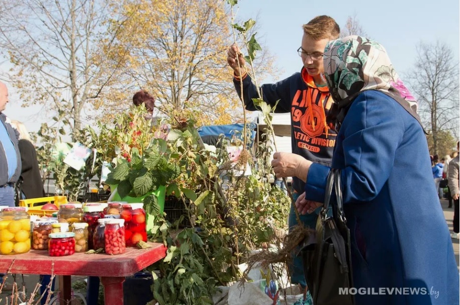 Сезон осенних сельскохозяйственных ярмарок стартует в Могилеве 27 сентября