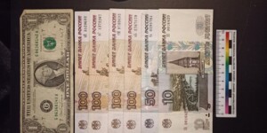 Ни мужчины, ни денег не обнаружила бобруйчанка, доверившись сожителю