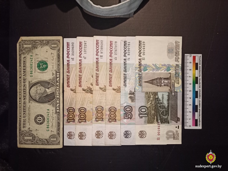 Ни мужчины, ни денег не обнаружила бобруйчанка, доверившись сожителю