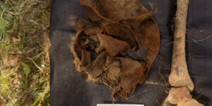 Эксперты ГКСЭ исследовали костные останки из захоронения времен ВОВ