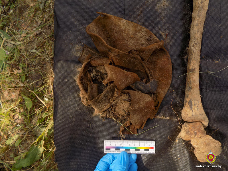 Эксперты ГКСЭ исследовали костные останки из захоронения времен ВОВ