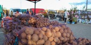 Большие сельхозярмарки запланированы в Могилеве 11–12 и 18–19 октября