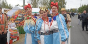 Фестиваль-ярмарка тружеников села «Дожинки» с размахом прошел в Бобруйском районе