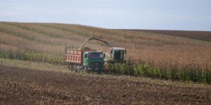 Кампания по кормозаготовке в Могилевской области проводится на более высоком организационном уровне, чем в предыдущие годы — КГК