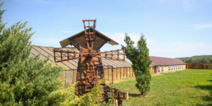 Более 130 субъектов хозяйствования оказывали услуги агроэкотуризма в Могилевской области