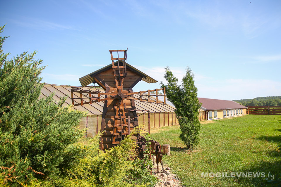 Более 130 субъектов хозяйствования оказывали услуги агроэкотуризма в Могилевской области