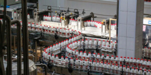 Могилевские продовольственные товары удостоились дипломов конкурса «Лучшие товары Республики Беларусь на рынке Российской Федерации»