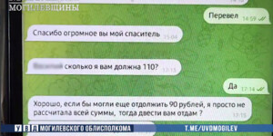 В Могилеве 22-летняя девушка оформила кредит по чужому паспорту