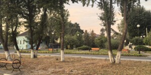 Похолодание, местами ожидаются дожди в начале следующей недели в Могилевской области