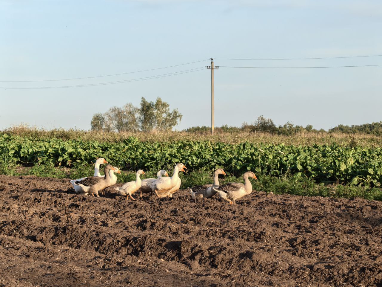 Погода на выходные: ночные заморозки, днем — небольшие дожди и не выше +16°С