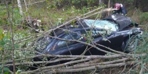 Смертельное ДТП под Могилевом: автомобиль столкнулся с лосем