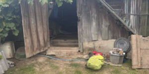 В Могилевском районе 91-летняя пенсионерка упала в погреб — помогли спасатели