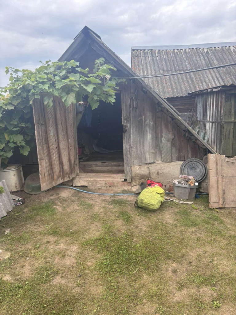 В Могилевском районе 91-летняя пенсионерка упала в погреб — помогли спасатели