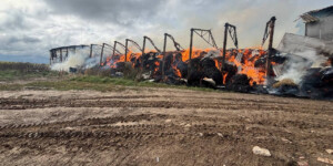 В Горках пожар уничтожил сенохранилище