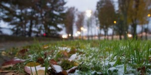 Первые заморозки ожидаются в ночь на 25 сентября в Могилевской области