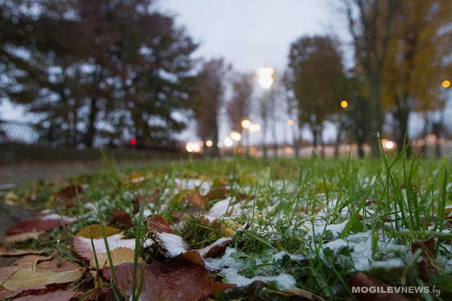 Первые заморозки ожидаются в ночь на 25 сентября в Могилевской области