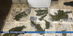 В Бобруйске задержаны двое мужчин с более чем килограммом марихуаны