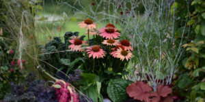 Лунный календарь цветовода на сентябрь-2025: работы в саду