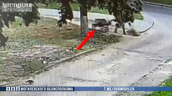 В Могилеве пенсионерка похитила электросамокат за 1,5 тыс. рублей