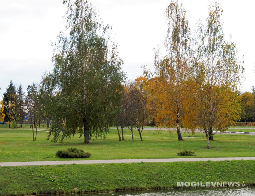 Существенно похолодает в начале следующей недели в Могилевской области
