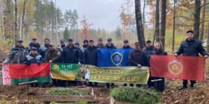 3,5 тысячи саженцев елей и сосен высадили могилевские эксперты около деревни Голынец