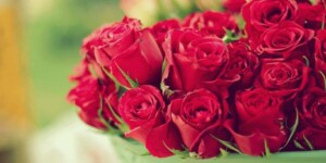 Поздравление с Днем работника культуры