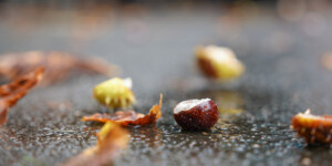 Погода на выходные: дождливо, ветрено и около +10°С