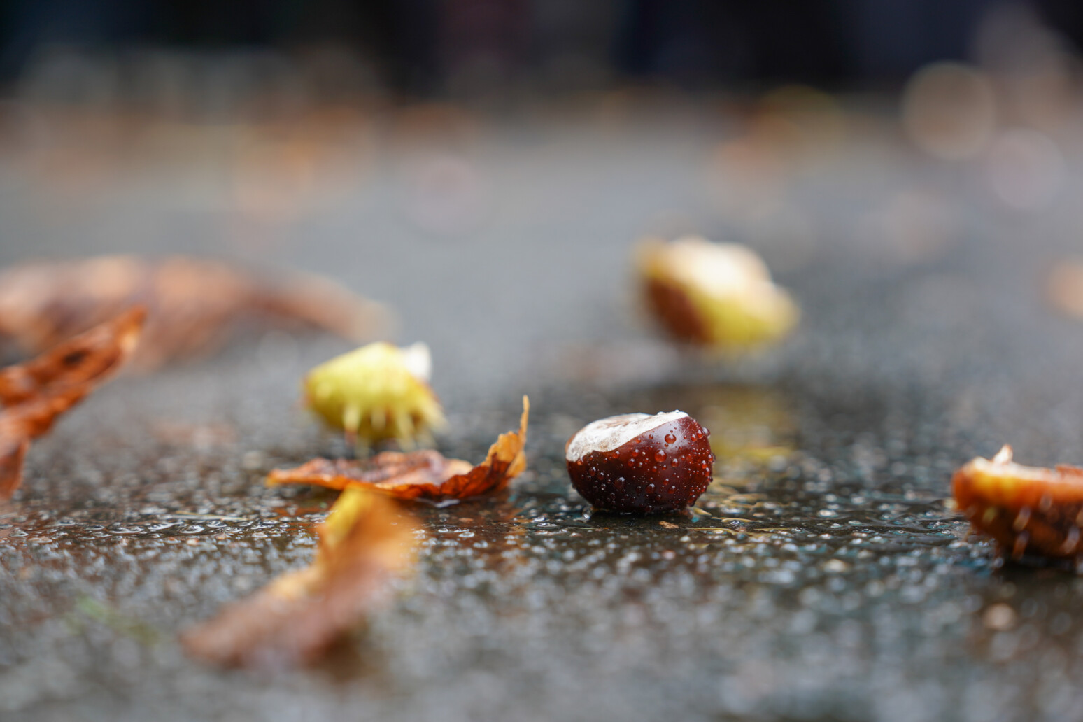 Погода на выходные: дождливо, ветрено и около +10°С