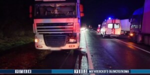 На трассе М-8 в Шкловском районе погиб пешеход