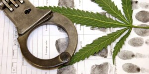 Цена 195 грамм марихуаны — 12 лет колонии особого режима