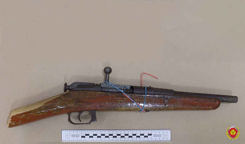 Редкое оружие и боеприпасы изъяты у жителя Осиповичского района