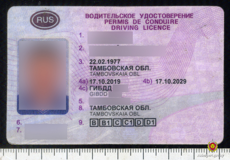 Могилевчанин попался с поддельными водительскими правами и техпаспортом