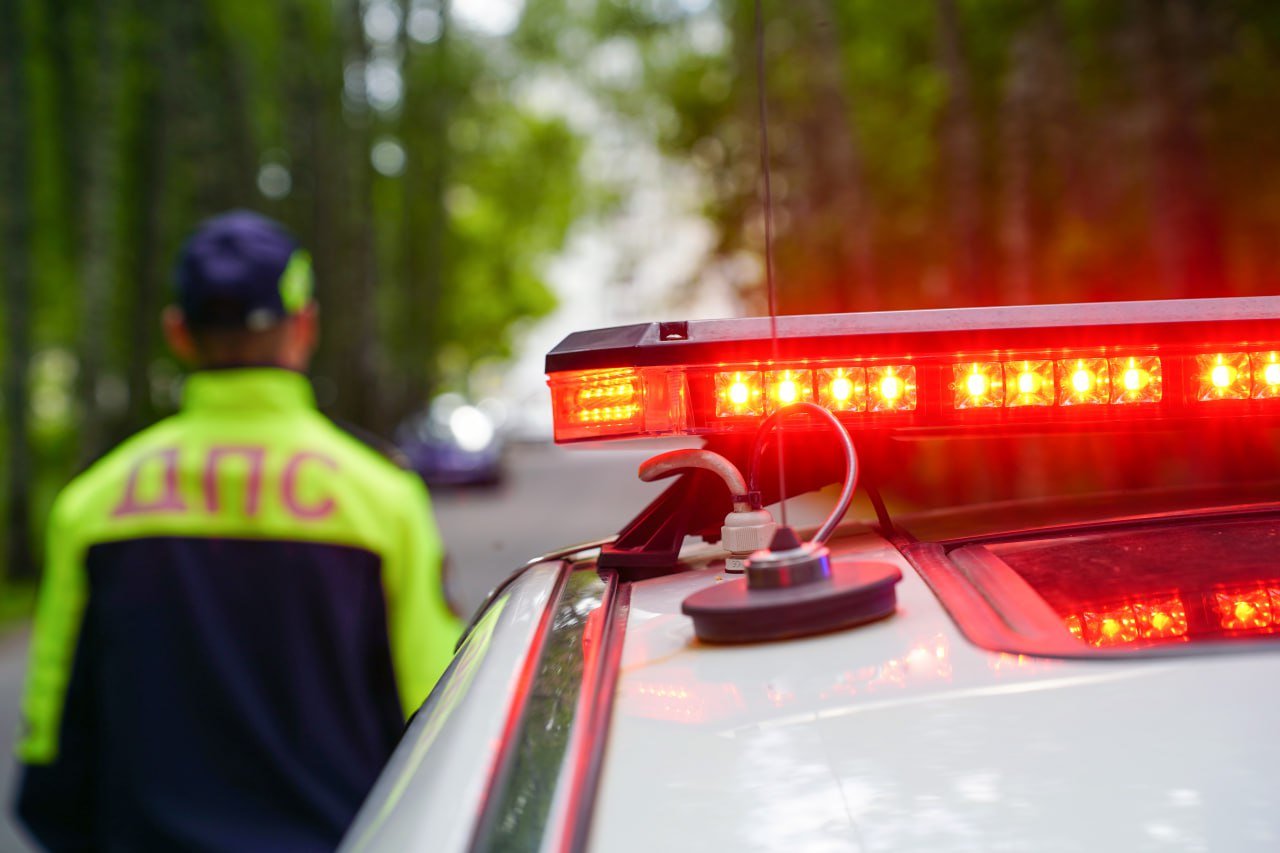 «Уступи дорогу пешеходу!»: в Беларуси проходит Единый день безопасности дорожного движения