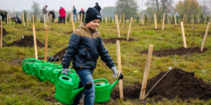 15 тысяч деревьев и кустарников высадят в Могилевской области в Единый день озеленения