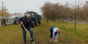 Руководство и депутатский корпус Могилева принимают участие в республиканском субботнике. Фото