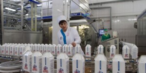 Рост производства молока обеспечили 74 организации Могилевщины