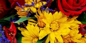 Поздравление с Днем пожилых людей