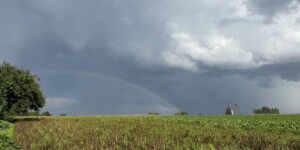 Погода на выходные: до +16°С, временами дожди