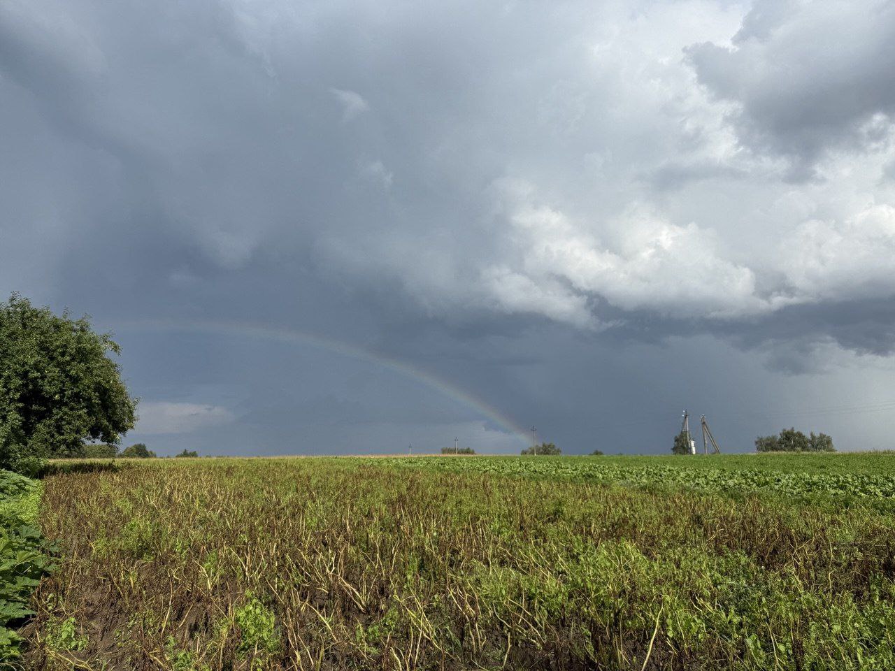 Погода на выходные: до +16°С, временами дожди