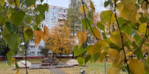 Погода на неделю: ночные заморозки и сильный порывистый ветер к выходным